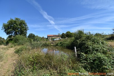 Fermette, presque 7 hectares et des sources