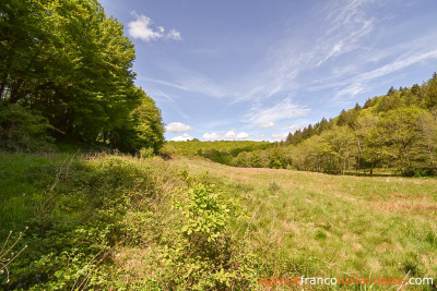 Fermette, presque 7 hectares et des sources