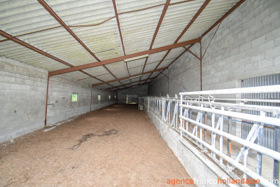 Ferme corrézienne et plus de 4 hectares