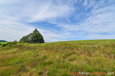 Ferme corrézienne et plus de 4 hectares