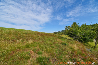 Ferme corrézienne et plus de 4 hectares