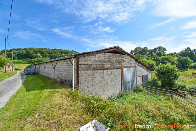 Ferme corrézienne, gîte et plus de 4 hectares