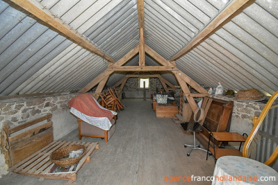 Ferme corrézienne, gîte et plus de 4 hectares