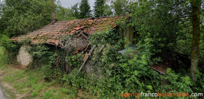 Ferme corrézienne, gîte et plus de 4 hectares