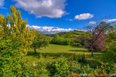 Elle surplombe une nature idyllique