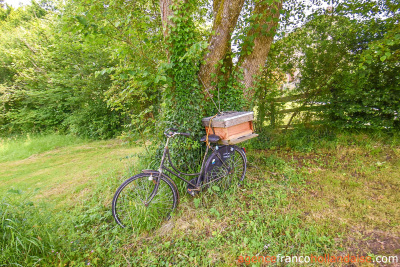 Petit bijou au bord d’un ruisseau 