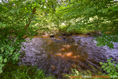 Petit bijou au bord d’un ruisseau 