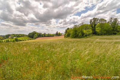 Terrain constructible