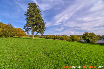 Ferme Limousine à rénover totalement