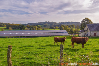 Ferme Limousine à rénover totalement