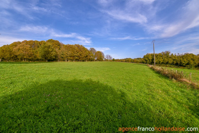 Ferme Limousine à rénover totalement