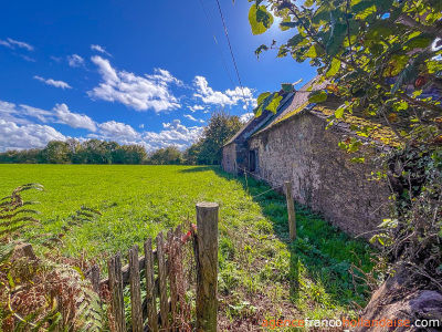 Deux fermes Limousines à rénover et 1,2 hectare