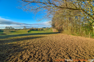 Corps de ferme avec 3 hectares