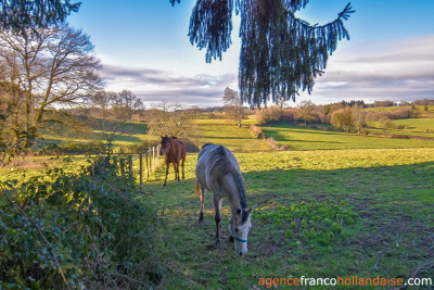 Corps de ferme avec 3 hectares